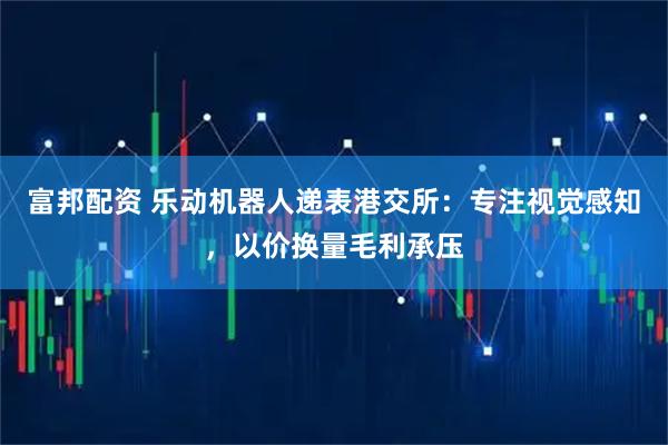 富邦配资 乐动机器人递表港交所：专注视觉感知，以价换量毛利承压