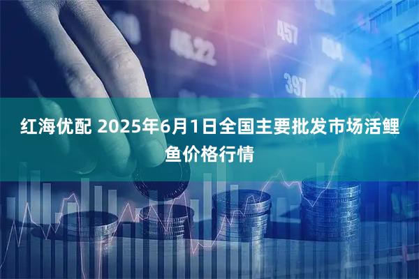 红海优配 2025年6月1日全国主要批发市场活鲤鱼价格行情