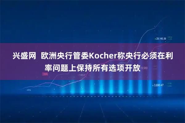 兴盛网  欧洲央行管委Kocher称央行必须在利率问题上保持所有选项开放