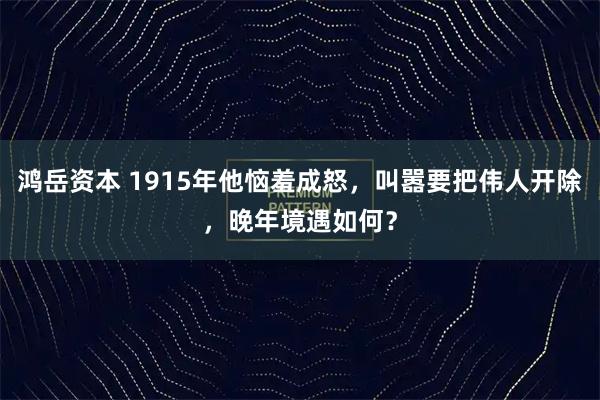 鸿岳资本 1915年他恼羞成怒，叫嚣要把伟人开除，晚年境遇如何？