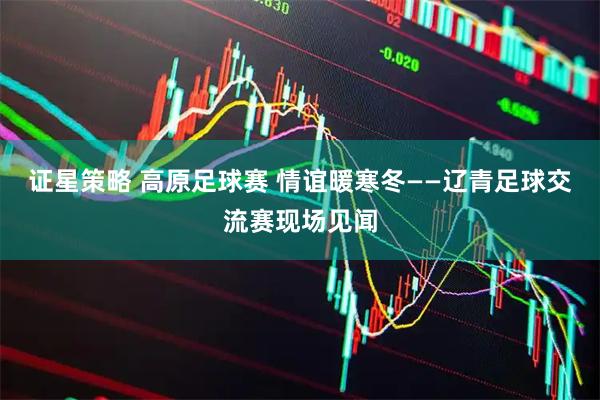 证星策略 高原足球赛 情谊暖寒冬——辽青足球交流赛现场见闻