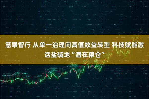 慧眼智行 从单一治理向高值效益转型 科技赋能激活盐碱地“潜在粮仓”
