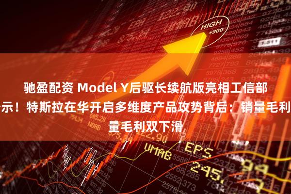 驰盈配资 Model Y后驱长续航版亮相工信部新车公示！特斯拉在华开启多维度产品攻势背后：销量毛利双下滑
