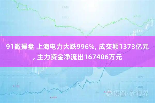 91微操盘 上海电力大跌996%, 成交额1373亿元, 主力资金净流出167406万元